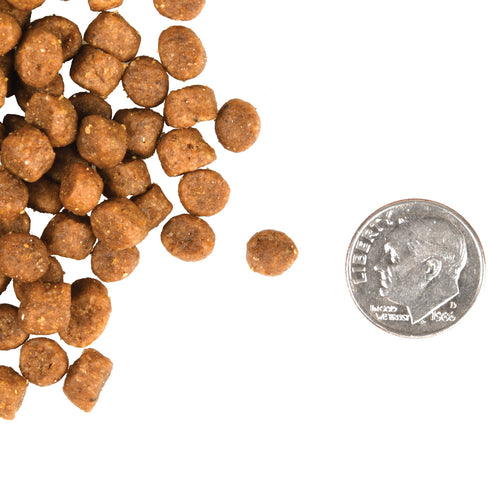 Fromm Adult Gold Dry Cat Food - Chicken & Duck - 10lb Bag